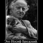 Libro di Brodskij in russo
