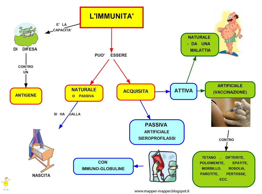 Il Sitema Immunitario ti dà l'Immunità, cioé la Salvezza 