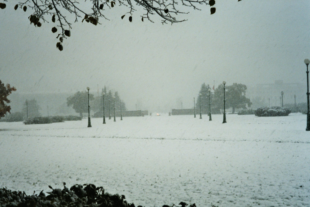 Neve e solitudine: paradigma della vita di Emily Dickinson 